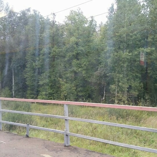 Лагерь молния Зосимова пустынь