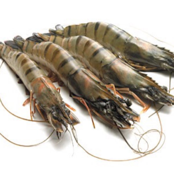 Купить Креветки В Спб Дешево С Доставкой