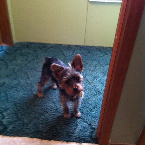 Swan Kennels Columbus, MS