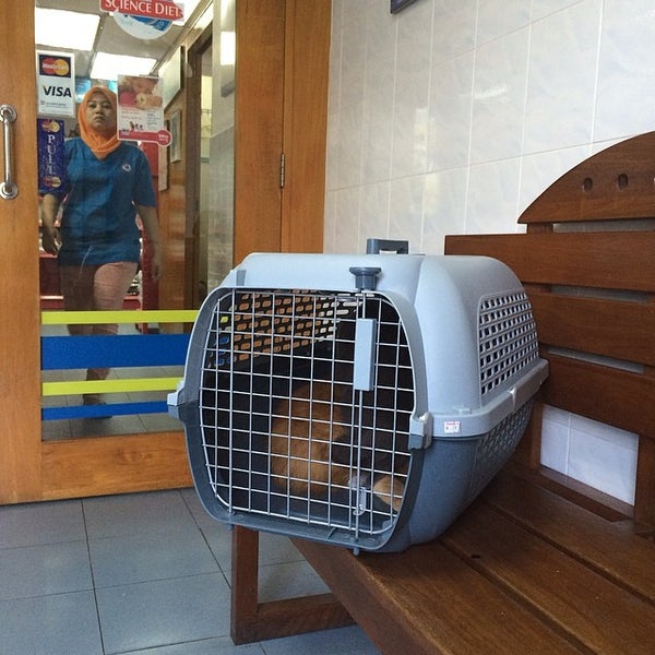Hollywood animal. Animal centre. Veterinary clinics of north america:. Animal centre. Animal centre.