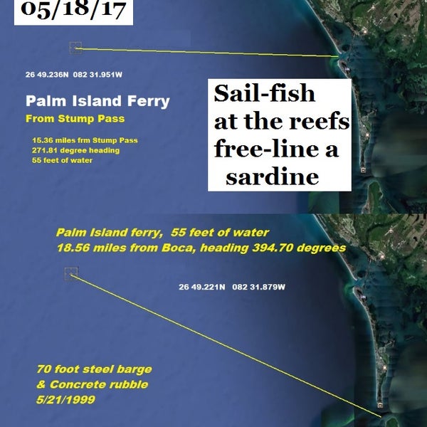 Sail fish have been hitting in the gulf, not enough to target them , but enough to get as a by catch. While fishing on reefs in the 15 to 30 mile out range , try freelining a sardine.