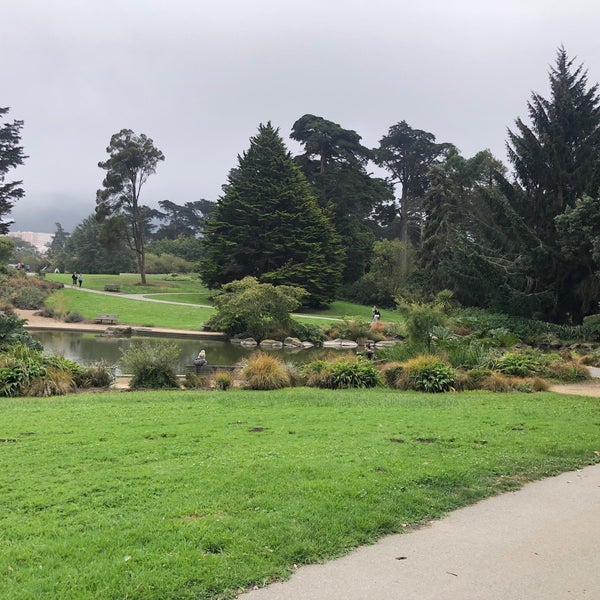 9/12/2022 tarihinde Sofia G.ziyaretçi tarafından San Francisco Botanical Garden'de çekilen fotoğraf