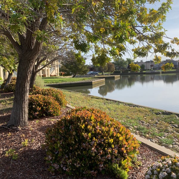 hyatt house belmont redwood shores