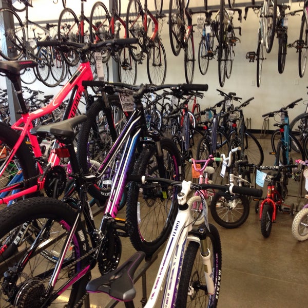 big shark bicycle shop
