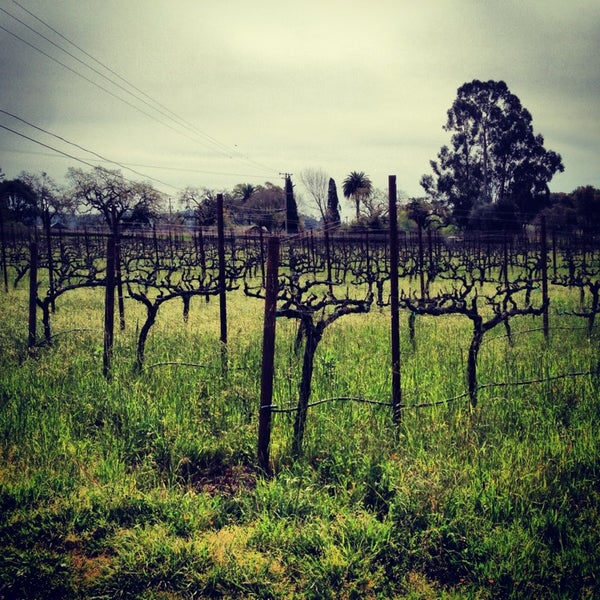 รูปภาพถ่ายที่ Ravenswood Winery โดย lanamaniac เมื่อ 3/15/2013