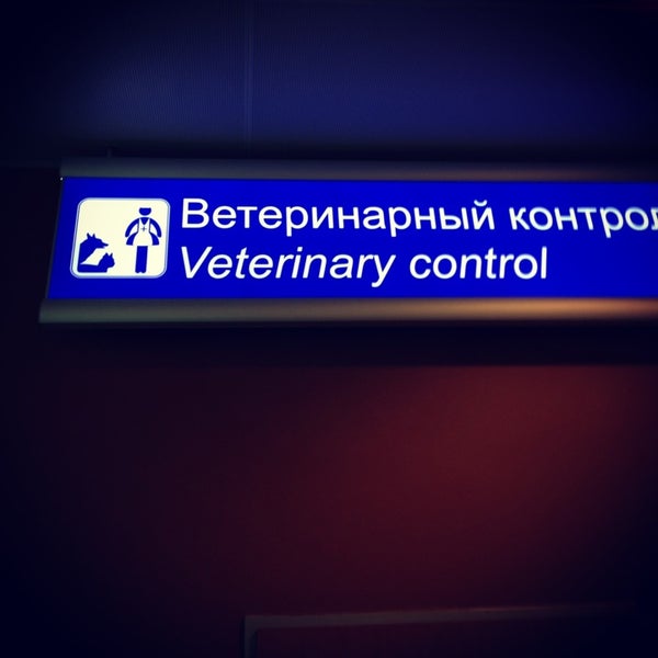 Решение 317 ветеринарный контроль. Ветеринарный контроль в аэропорту. ветеринарный контроль на таможне. ветеринарный контроль служба домодедово. ветконтроль воронеж.