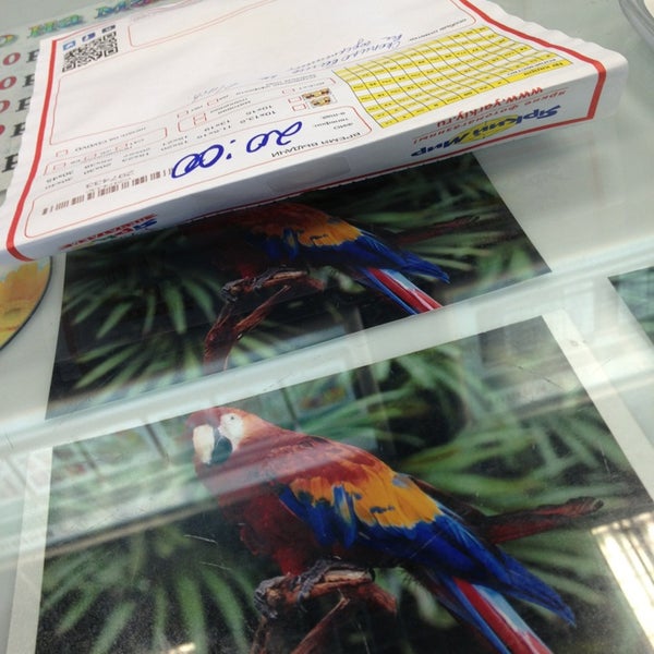 Яркий Мир Печать Фото Цена Спб – Telegraph