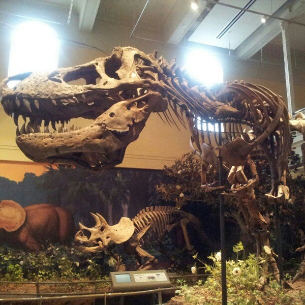 Foto tirada no(a) Carnegie Museum of Natural History por Serge C. em 11/27/2012