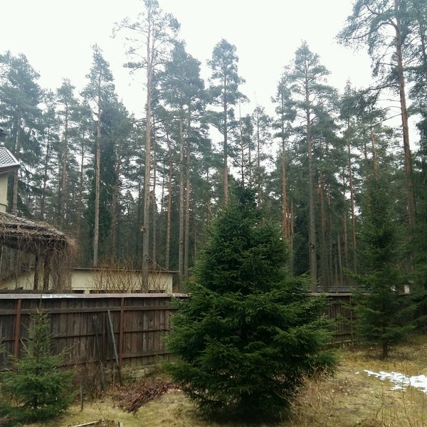 Мельничный ручей санаторий