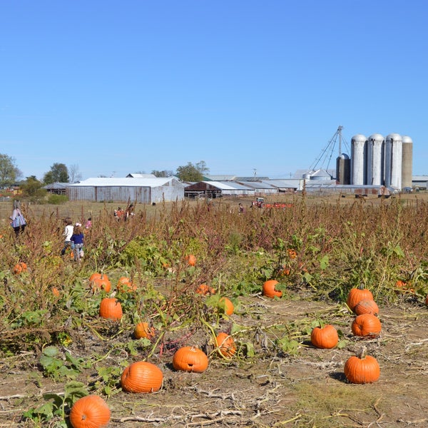 Gallrein Farms Shelbyville, KY