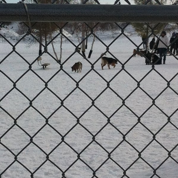 North Dog Park Rochester, MN