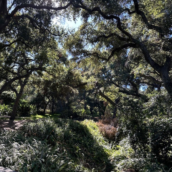 รูปภาพถ่ายที่ Descanso Gardens โดย Morgan J. เมื่อ 10/18/2023