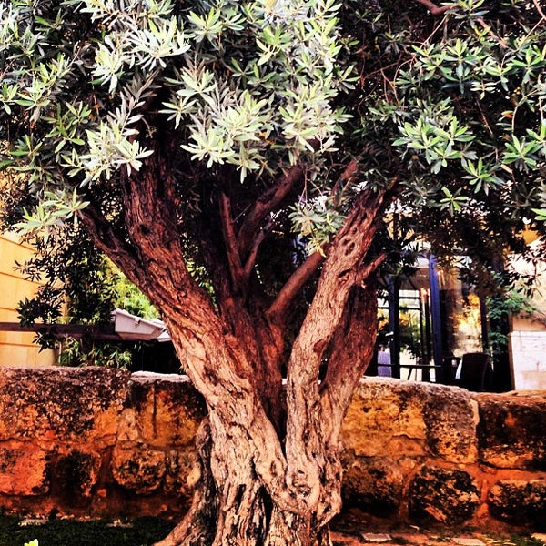 Photos at Chez paul Gemmayze