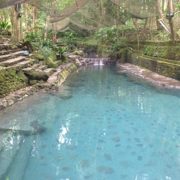 Photos At Ardent Hot Springs Tagdo