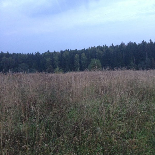 Деревня Сокольники, Озеро