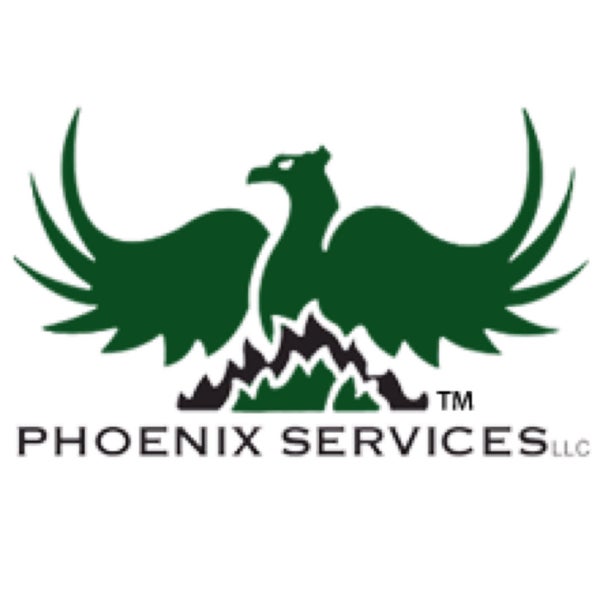 Phoenix service. Финикс зеленый. Команда Green Phoenix. Грин Феникс картинки. Грин Феникс 3d цвет.