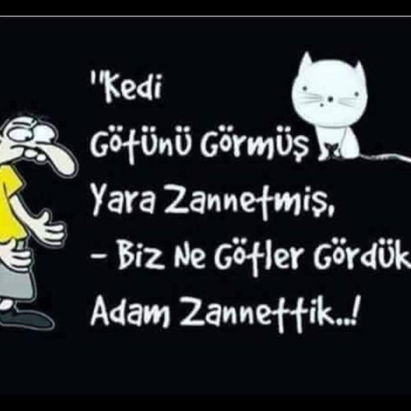 sarışın esmer porno en tatlı kızlar