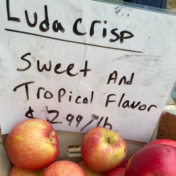 HeadHouse Square Farmers Market Center City East Philadelphia, PA