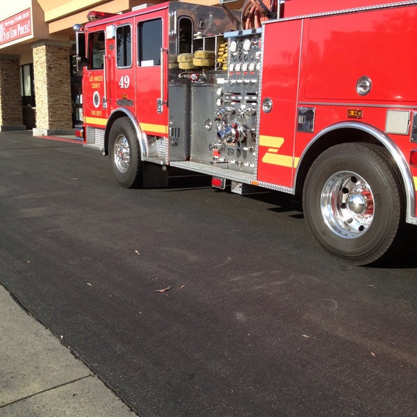 Naja Broberg Does Stater Bros Have Flowers How to Grow Backyard