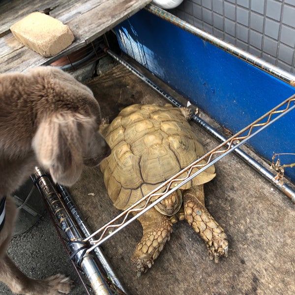 ポー リー動物病院 宮前区の獣医