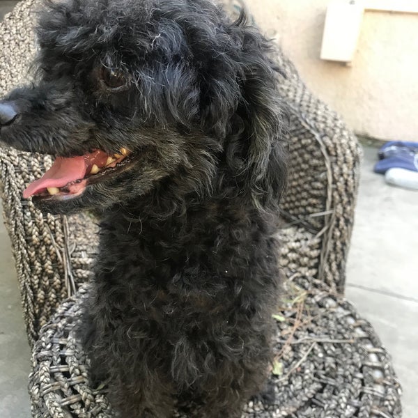 Rancho Cucamonga Animal Care and Adoption Center Government Building