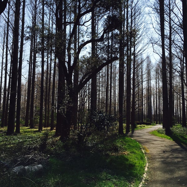 Photos At 水元公園バードサンクチュアリ Photos At 水元公園バードサンクチュアリ