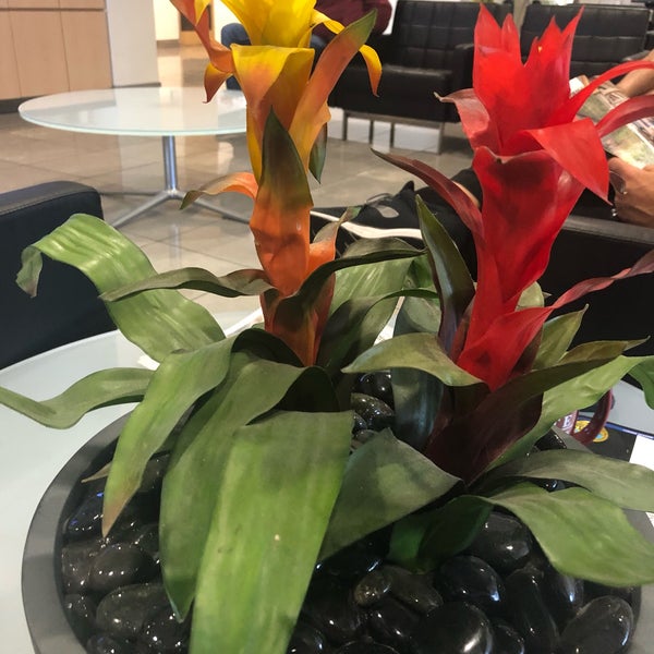 Fletcher Jones Imports 7300 W Sahara Ave