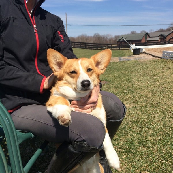 Photos at Orvis Sandanona Shooting Grounds 11 tips from 558 visitors