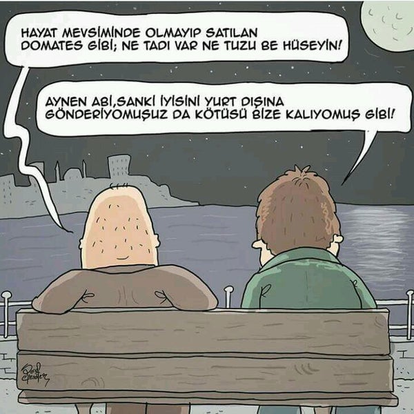 Samsu Börek 56lar Café