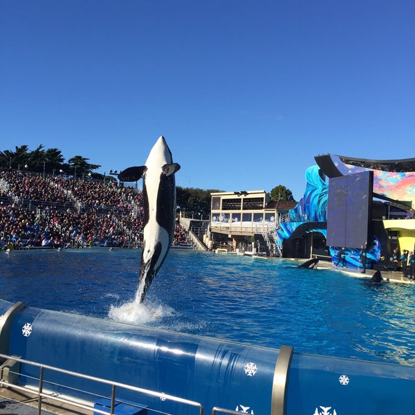 Photo taken at SeaWorld San Diego by Dennis on 12/25/2015