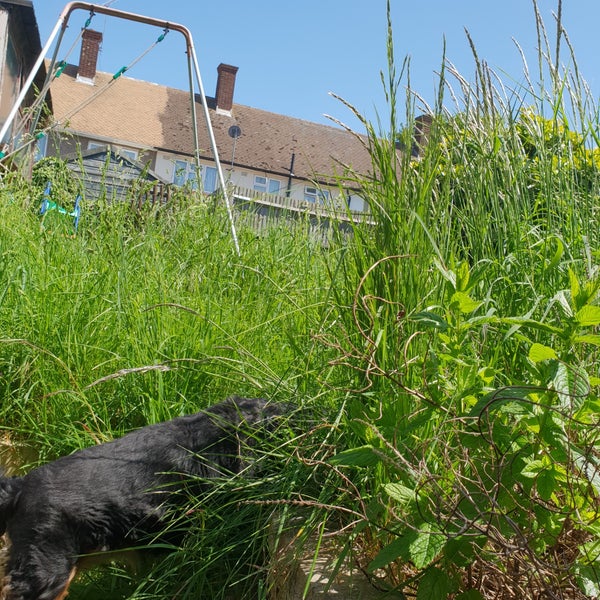 South Ockendon West Thurrock Essex, Essex