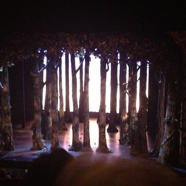 4/23/2013 tarihinde Mariana Fanousziyaretçi tarafından Cinderella on Broadway'de çekilen fotoğraf