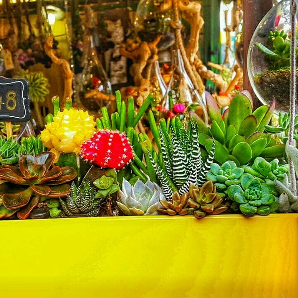 The Grove Los Angeles Los Angeles, CA