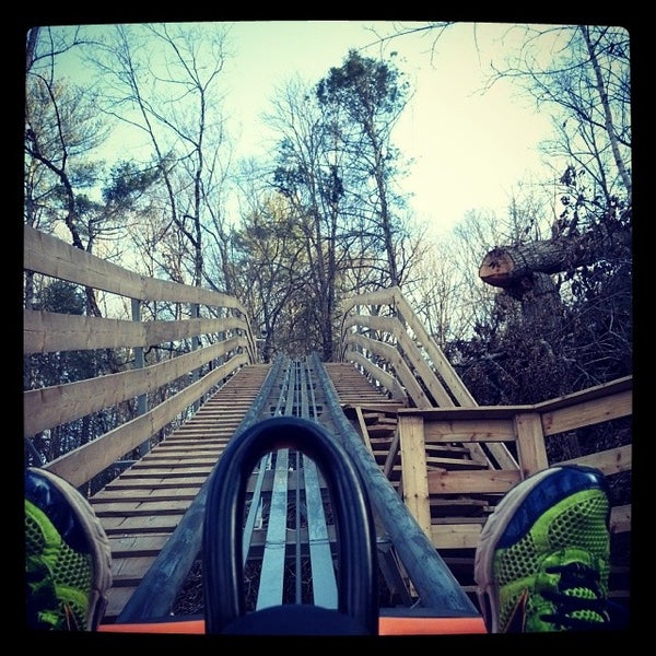 Smoky Mountain Alpine Coaster Pigeon TN