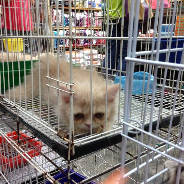 Galaxy Pet Shop 5 Tips From 258 Visitors Galaxy Pet Shop 5 Tips From 258 Visitors