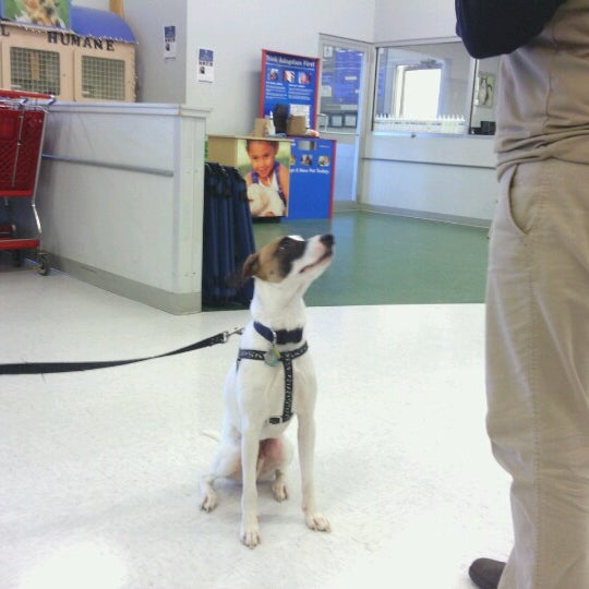 petco-pet-supplies-store-in-topsham