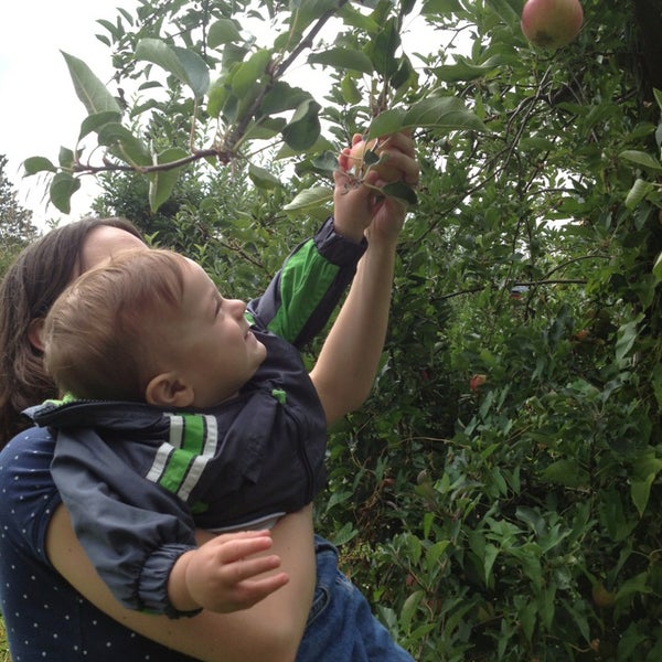 Foto tirada no(a) Soons Orchards por Sarah H. em 9/21/2013