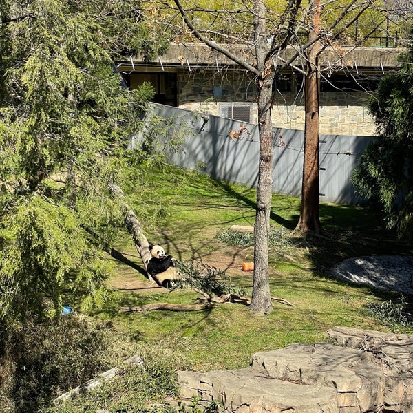 8/18/2023にAndrew B.がスミソニアン国立動物園で撮った写真