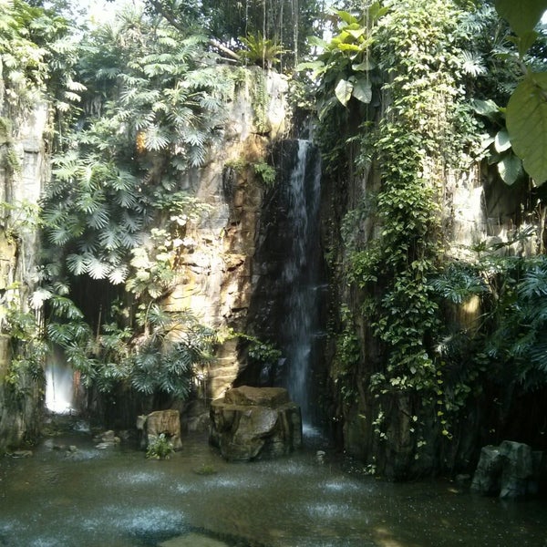 台中自然博物馆 植物园