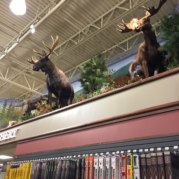 Cabela's Sporting Goods Retail