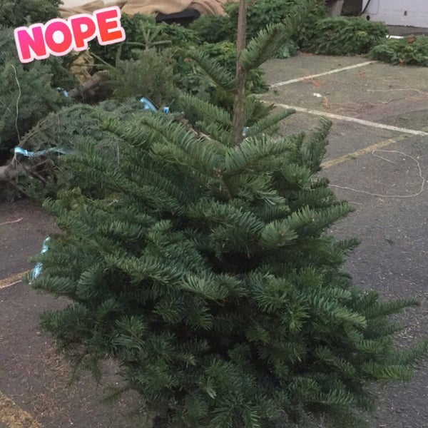 Photos At Delancey Street Christmas Tree Lot La Playa