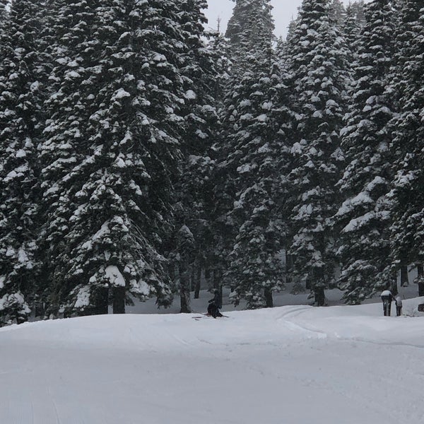 รูปภาพถ่ายที่ Homewood Ski Resort โดย Marian E. เมื่อ 1/7/2019