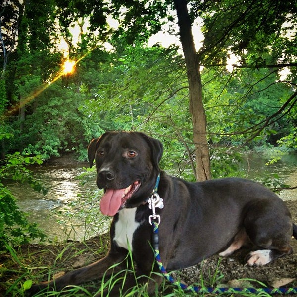 Frog Island Park 3 tips from 356 visitors