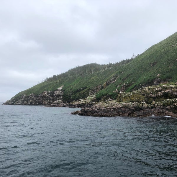 O'Brien's Boat Tour Bay Bulls, NL