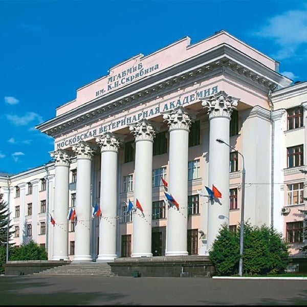 Мгавмиб расписание
