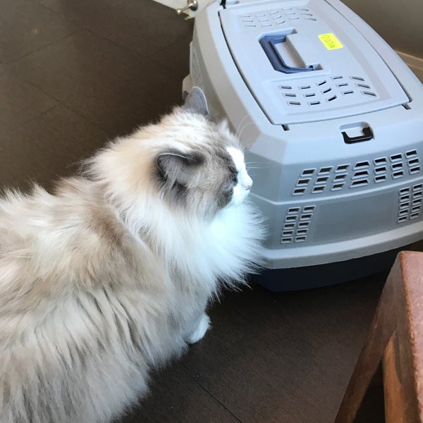 Back Bay Veterinary Clinic Veterinarian in Back Bay West