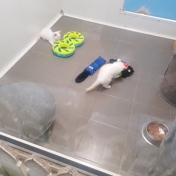 Brisbane Pet Superstore Stafford, QLD