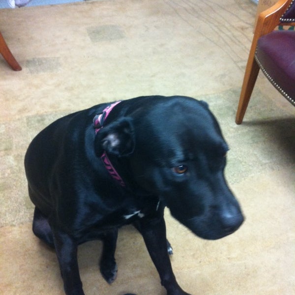 Scott Peters Landscape 1 visitor