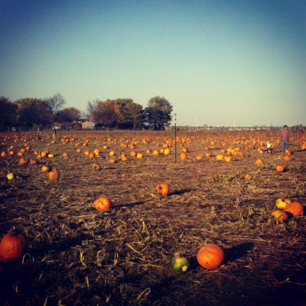 Photo taken at Curtis Orchard &amp; Pumpkin Patch by Brandon C. on 10/21/2012