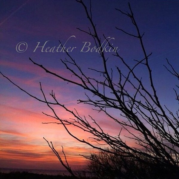 Дерево на рассвете. Фон для телефона с горизонтальными веточками. Фотошоп Цветущий сад анимация небо закат. Закат 9 мая